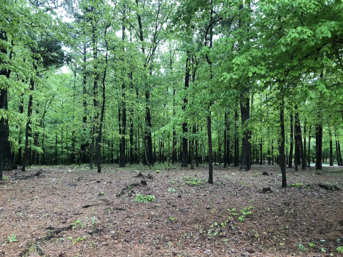 Ocee Park, the city park at 10900 Buice Road in the Ocee area of Johns Creek