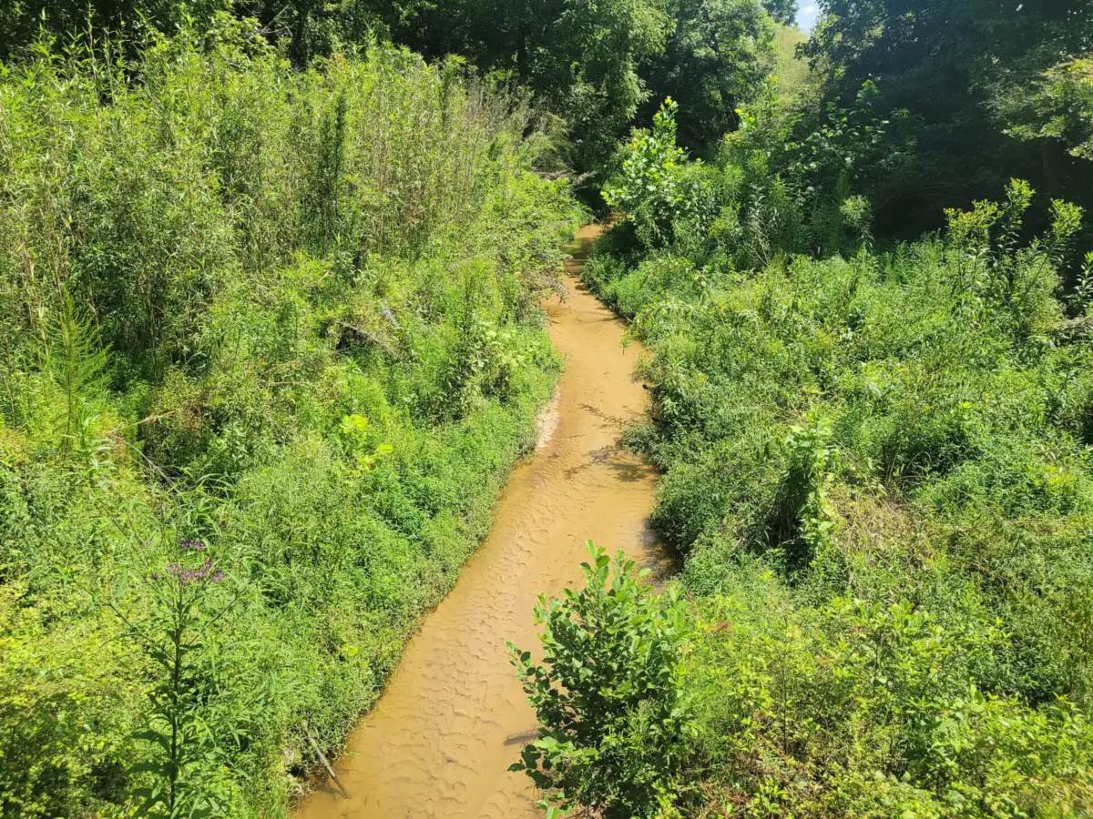 Cauley Creek in the Shakerag area of Johns Creek, near Cauley Creek Park on Bell Road