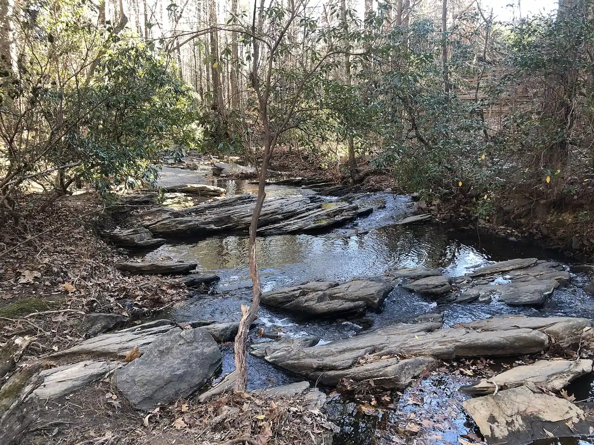 Sal's Creek in Autrey Mill Nature Preserve