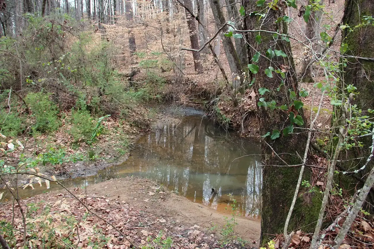 Johns Creek, the stream, in Forsyth County about a mile north of the school